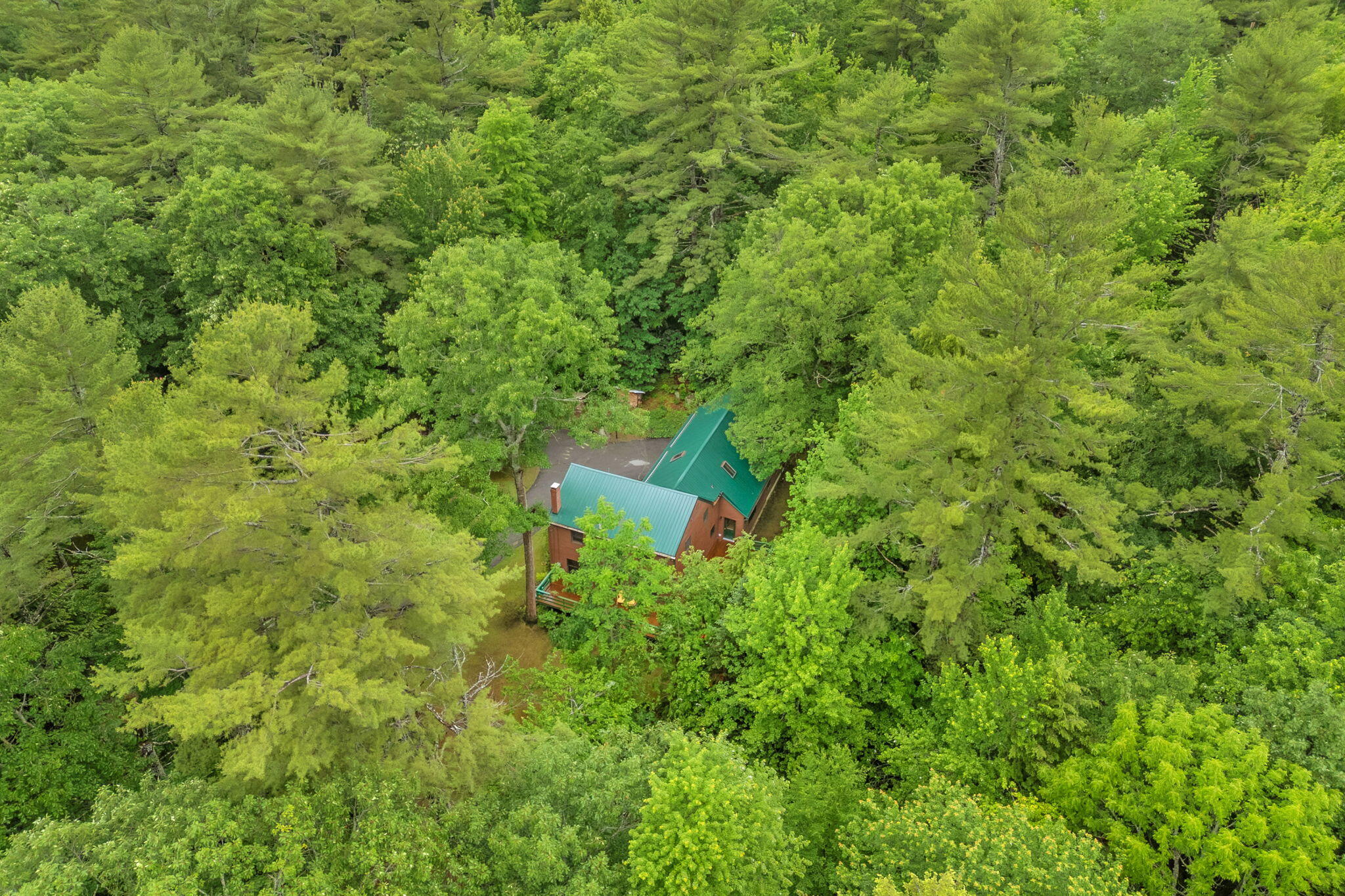 44 Pine Trail Dedham, ME 04429 - Photo 72 of 90 78-web-or-mls-44-pine-trail