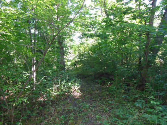 7593 Summerfield Road Lambertville, MI 48144 - Photo 6 of 20 20367482-5.JPG