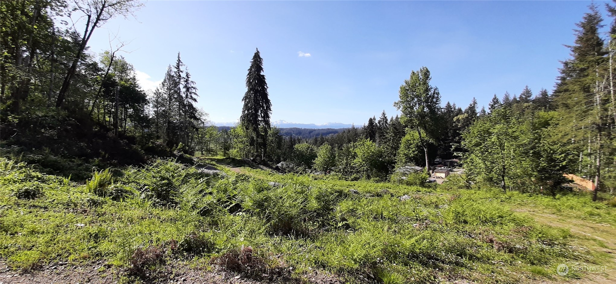 301 Northeast W J Way Belfair, WA 98528 - Photo 4 of 8 a view of a garden with a tree in a back yard