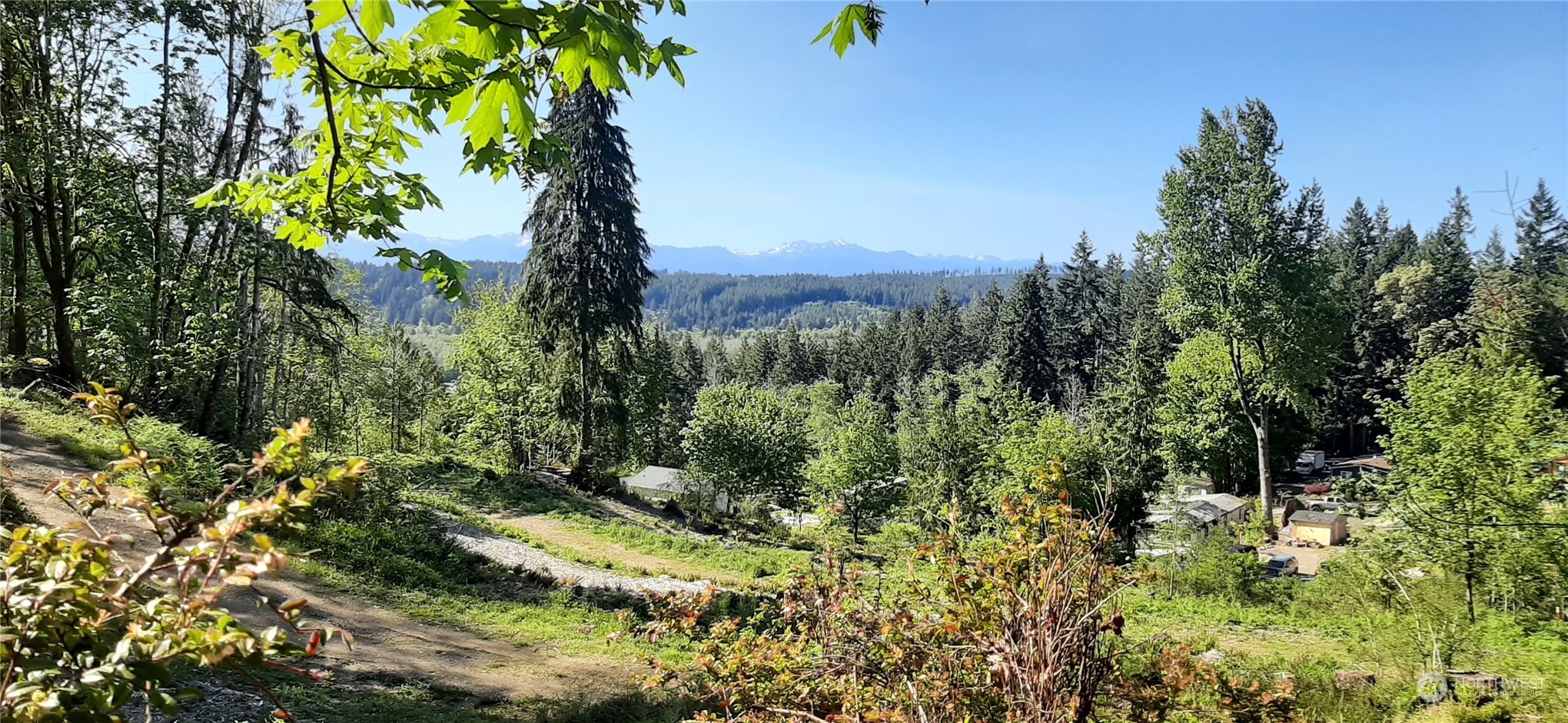 301 Northeast W J Way Belfair, WA 98528 - Photo 7 of 8 a view of a garden with a tree