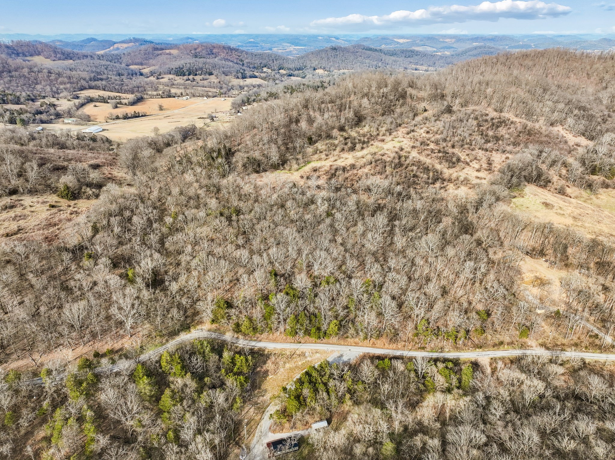 0 Dyer Branch Road Carthage, TN 37030 - Photo 2 of 33