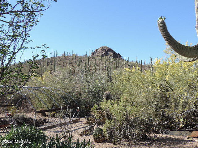 10000 West Picture Rocks Road Tucson, AZ 85743 - Photo 1 of 35 Gallery Image 1