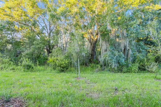 a view of outdoor space and yard