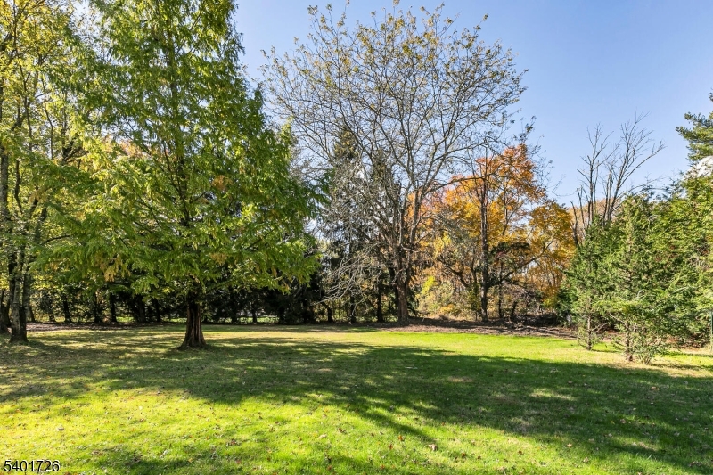 247 Lyons Road Bernards, NJ 07920 - Photo 45 of 48