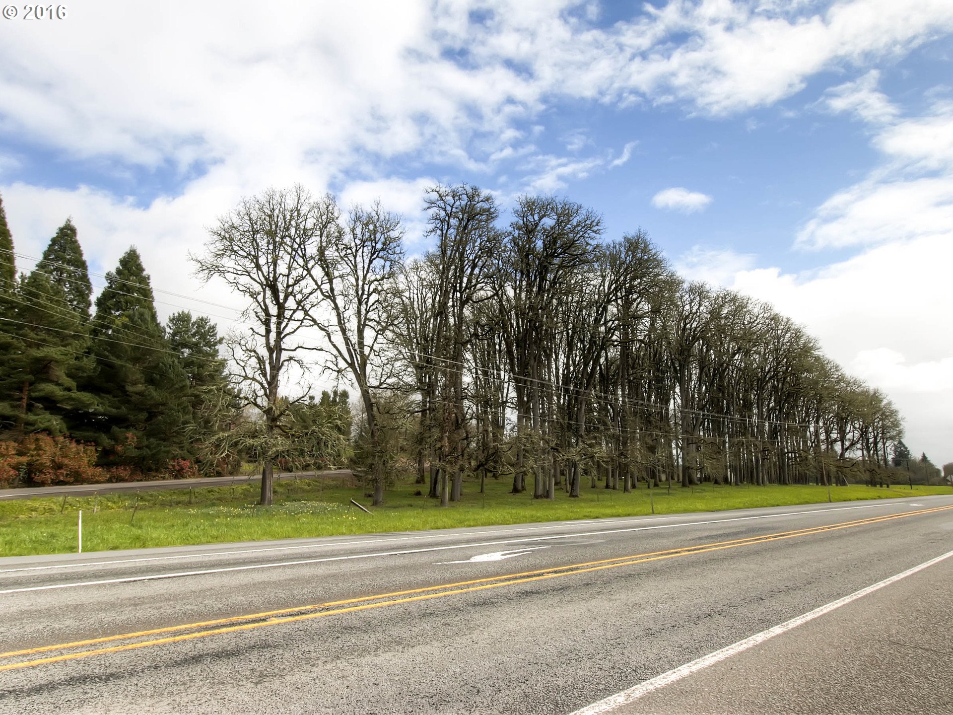 38760 Harrison Road Banks, OR 97106 - Photo 21 of 27 Gallery Image 21