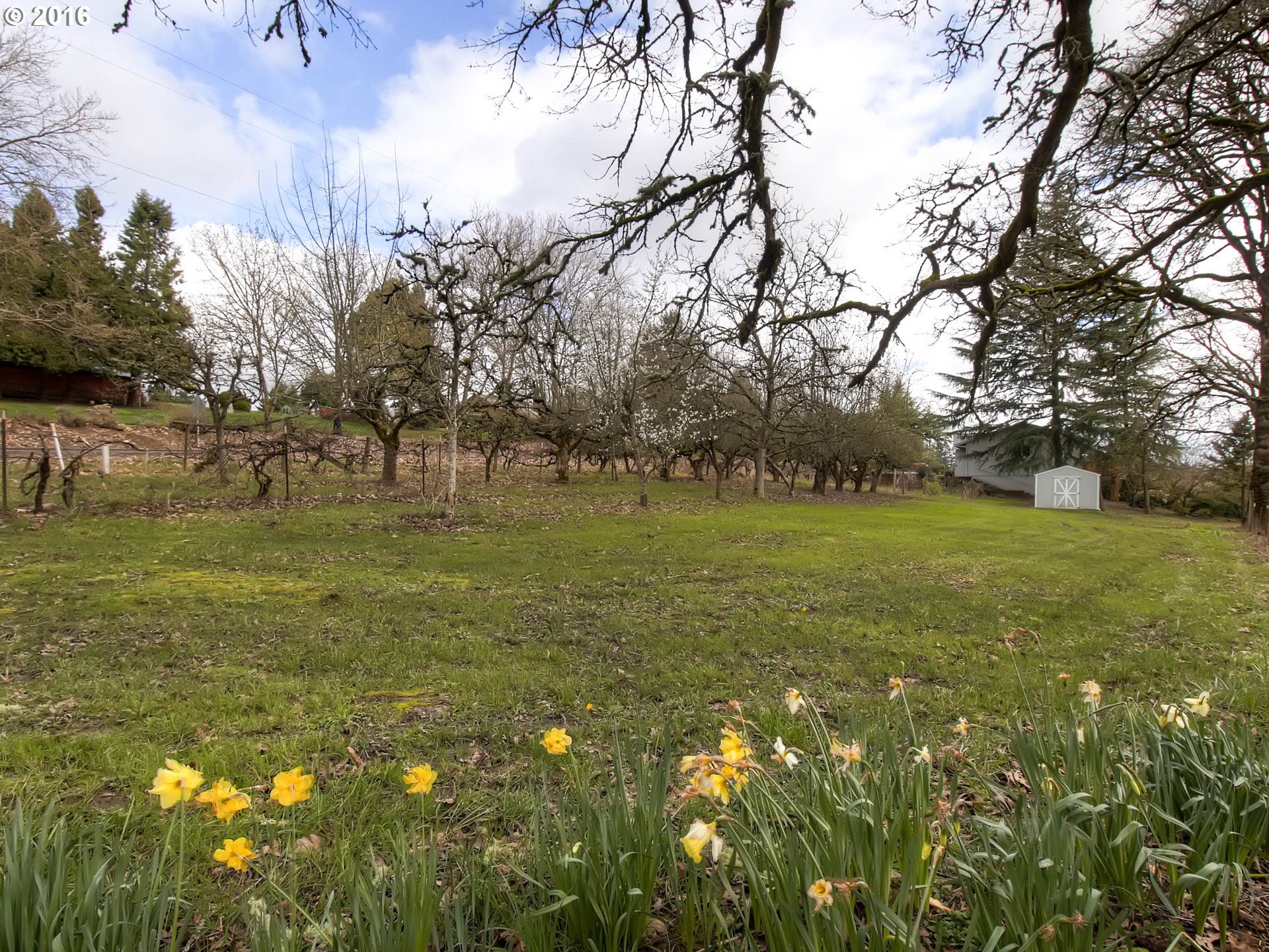 38760 Harrison Road Banks, OR 97106 - Photo 22 of 27 Gallery Image 22