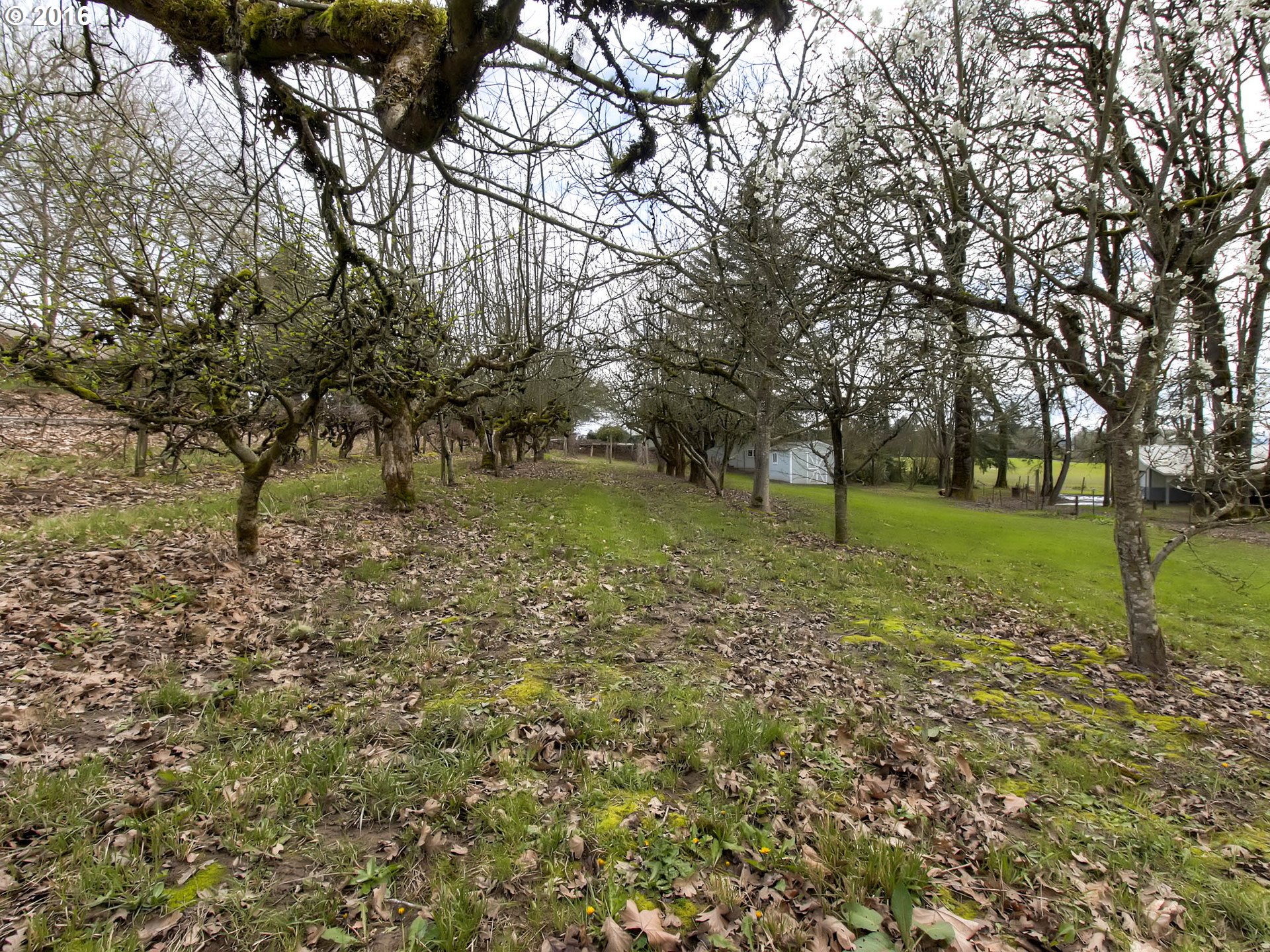 38760 Harrison Road Banks, OR 97106 - Photo 23 of 27 Gallery Image 23
