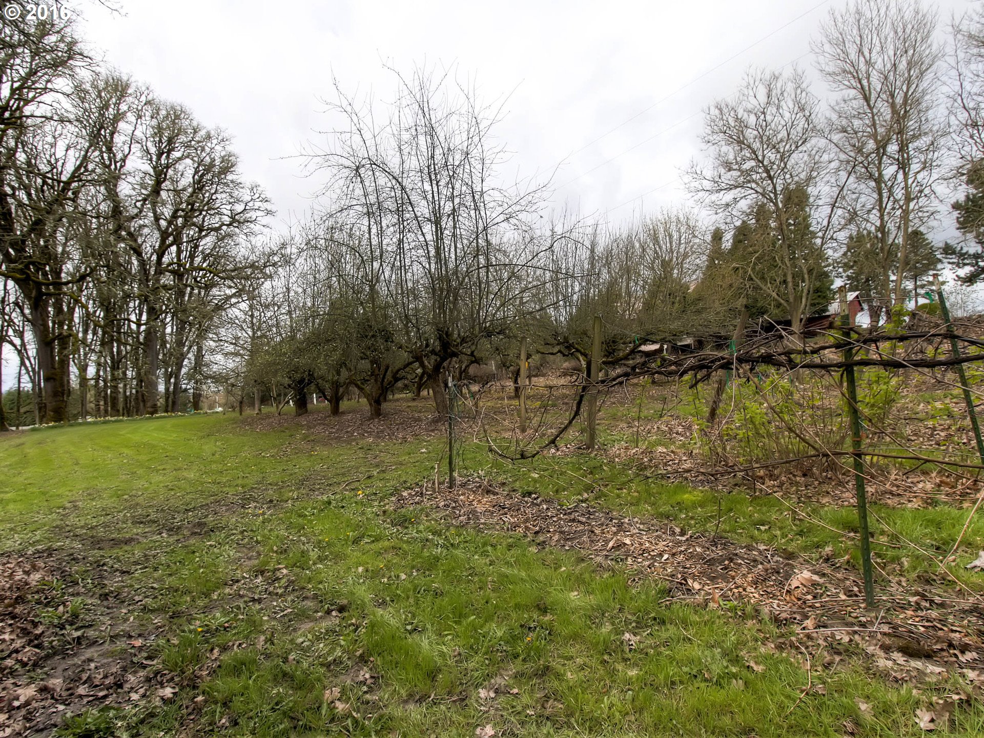 38760 Harrison Road Banks, OR 97106 - Photo 25 of 27 Gallery Image 25
