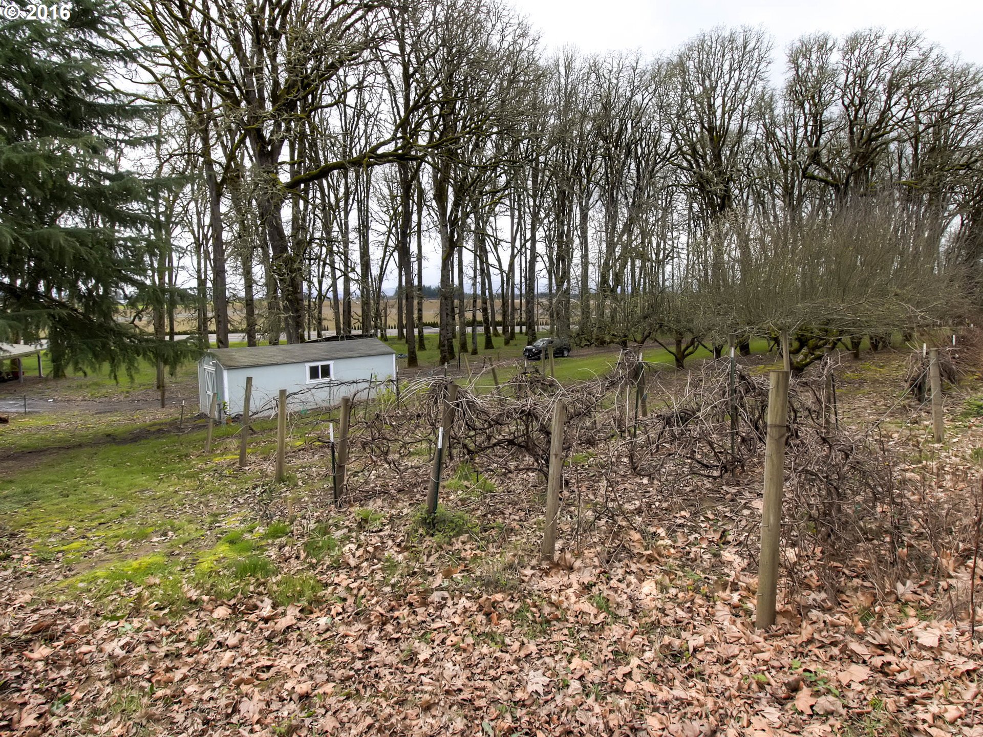 38760 Harrison Road Banks, OR 97106 - Photo 26 of 27 Gallery Image 26