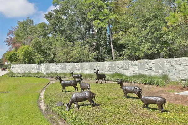 a view of a swimming pool with lounge chairs in front of house