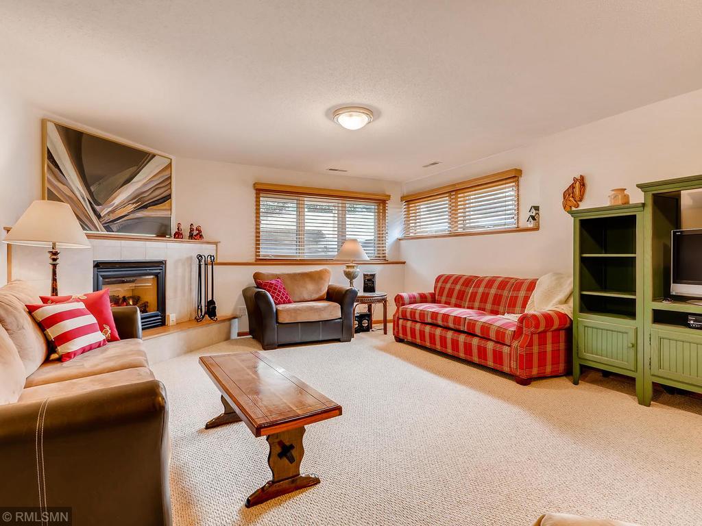 515 Buffalo Run Road Buffalo, MN 55313 - Photo 17 of 29 Gallery Image 17