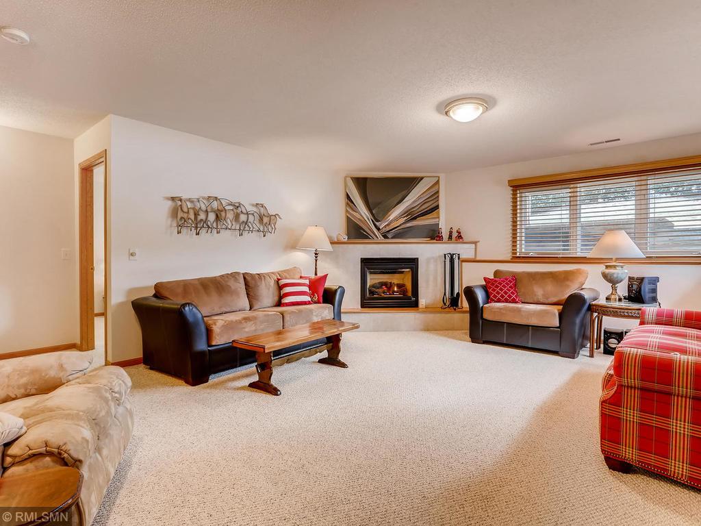 515 Buffalo Run Road Buffalo, MN 55313 - Photo 18 of 29 Gallery Image 18
