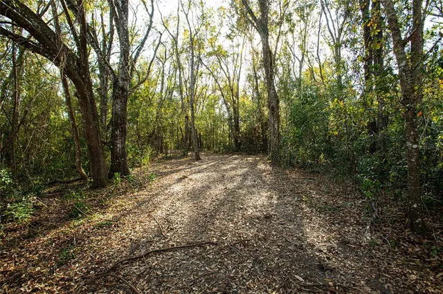 a view of outdoor space and yard