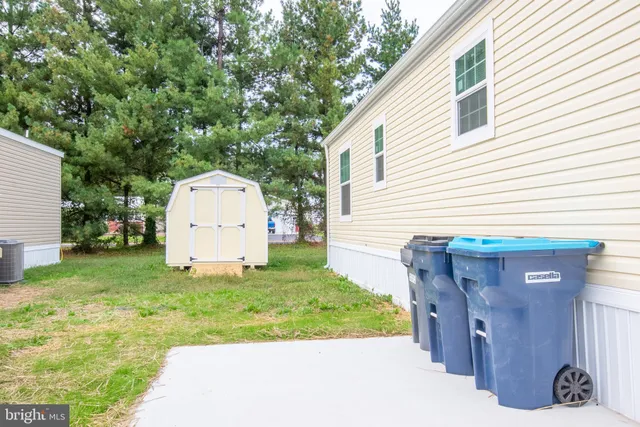 a view of backyard with a barn and a large tree