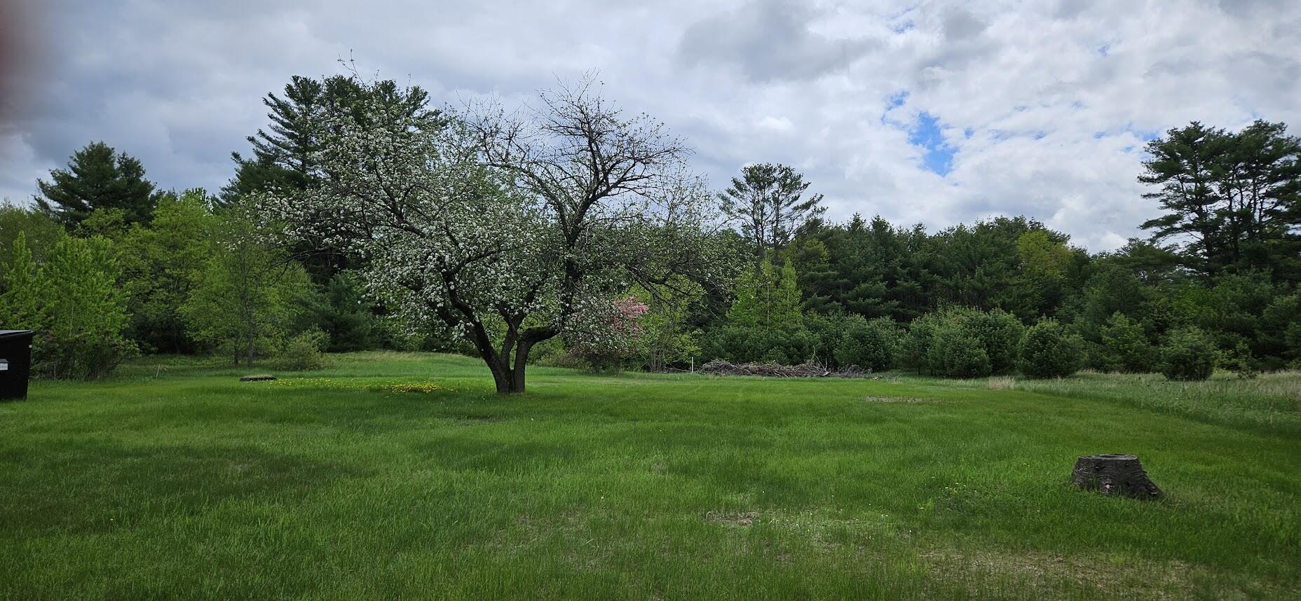 1696 Federal Road Livermore, ME 04253 - Photo 45 of 85 20250518_110501