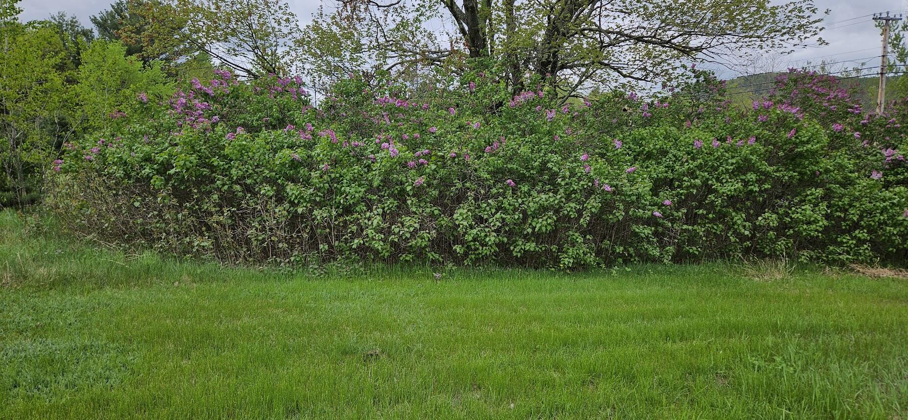 1696 Federal Road Livermore, ME 04253 - Photo 47 of 85 20250518_110533