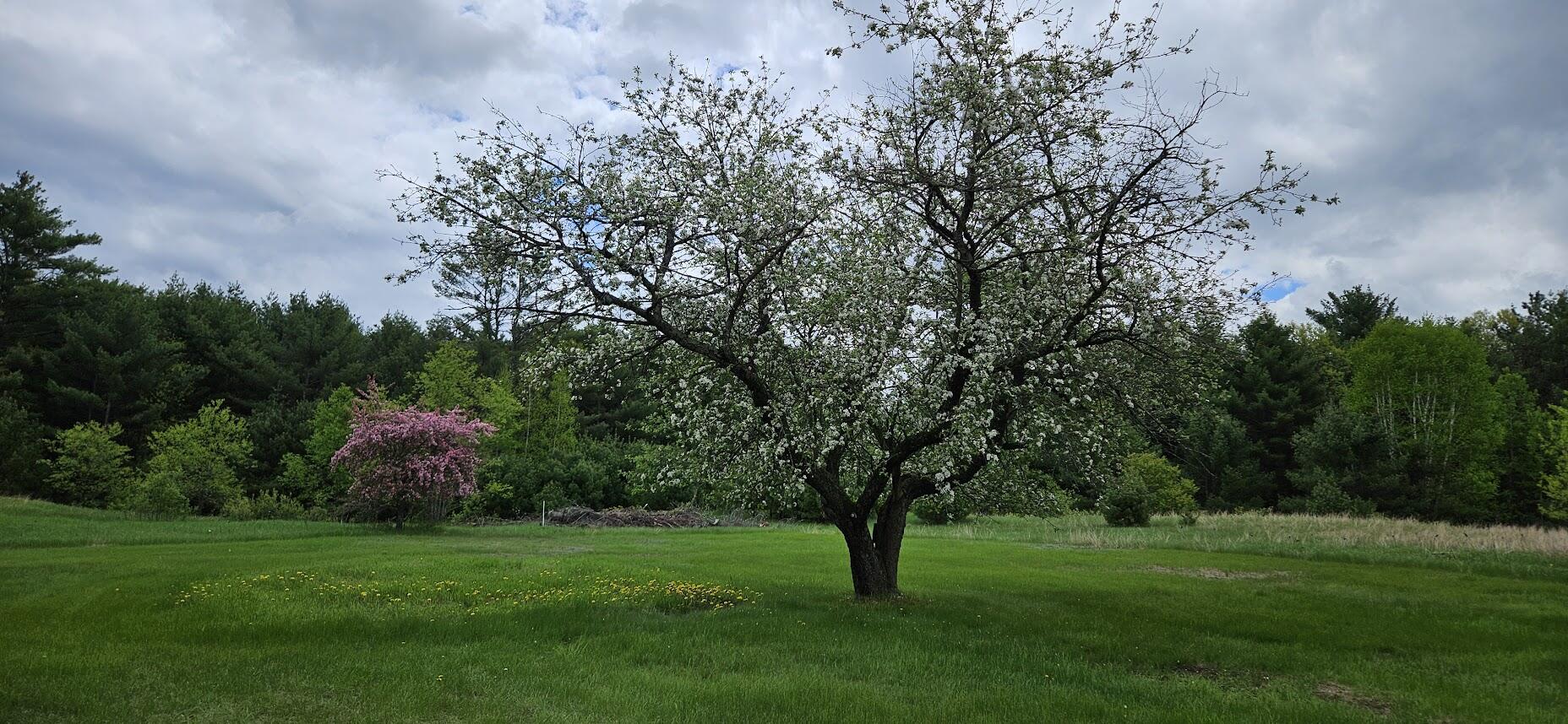 1696 Federal Road Livermore, ME 04253 - Photo 49 of 88 20250518_110354