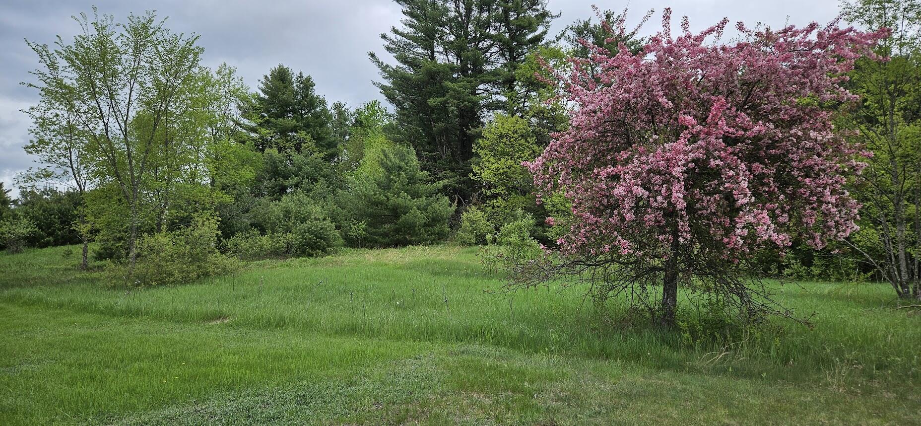 1696 Federal Road Livermore, ME 04253 - Photo 49 of 85 20250518_110623