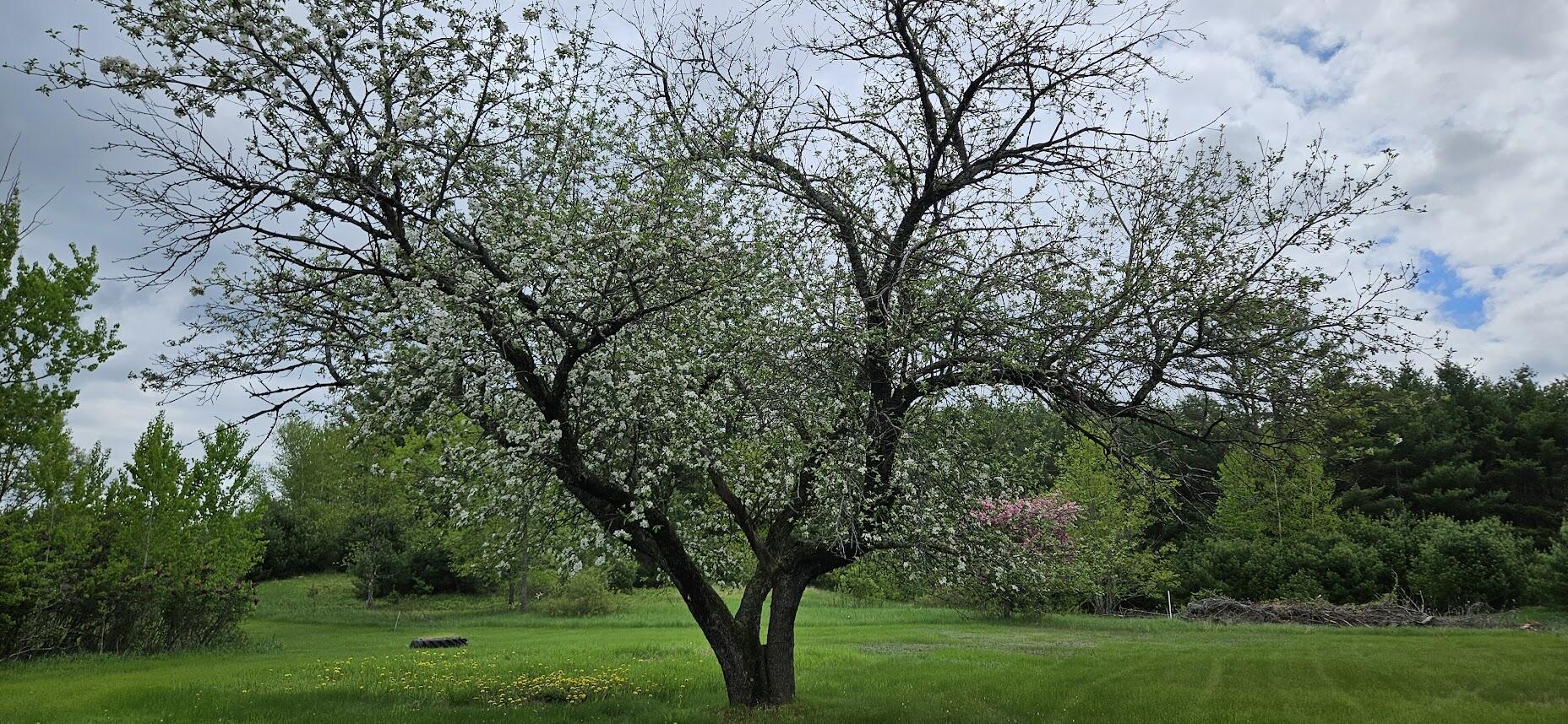 1696 Federal Road Livermore, ME 04253 - Photo 52 of 88 20250518_110521