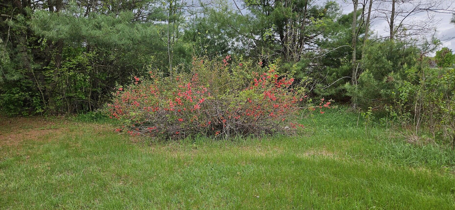 1696 Federal Road Livermore, ME 04253 - Photo 52 of 85 20250518_110739