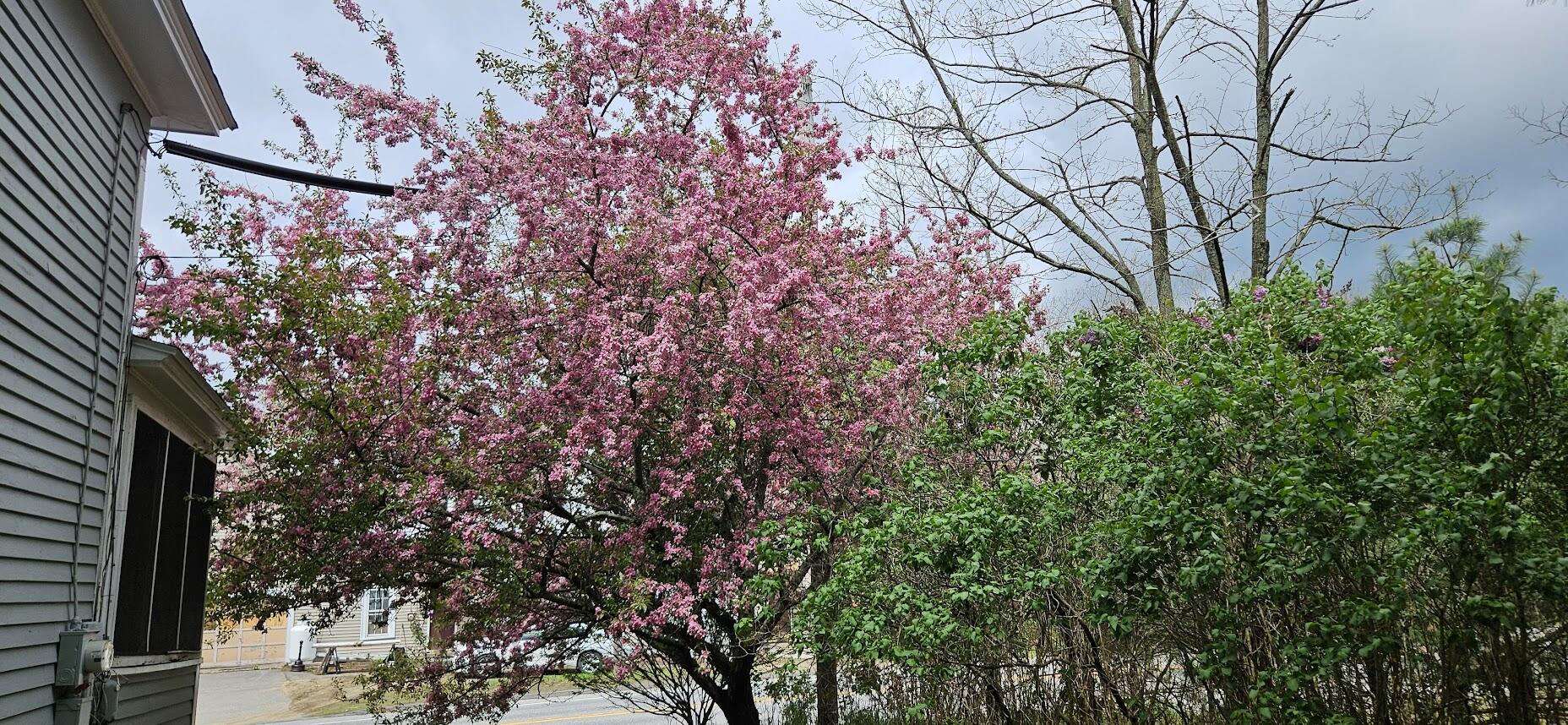 1696 Federal Road Livermore, ME 04253 - Photo 60 of 88 20250518_110836