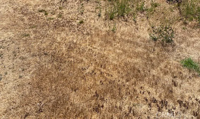 a close up of a wall