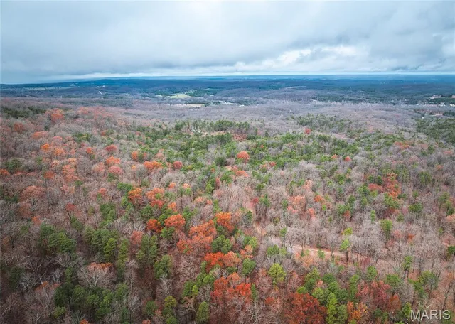 $995,000 | 1950 Lake Forest Drive, Park Hills, MO 63601