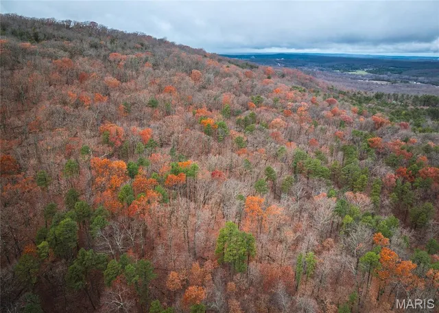 $995,000 | 1950 Lake Forest Drive, Park Hills, MO 63601