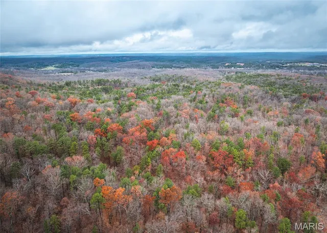 $995,000 | 1950 Lake Forest Drive, Park Hills, MO 63601