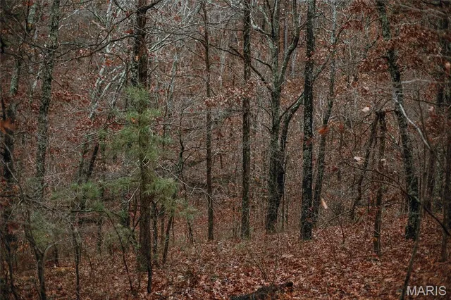 $995,000 | 1950 Lake Forest Drive, Park Hills, MO 63601