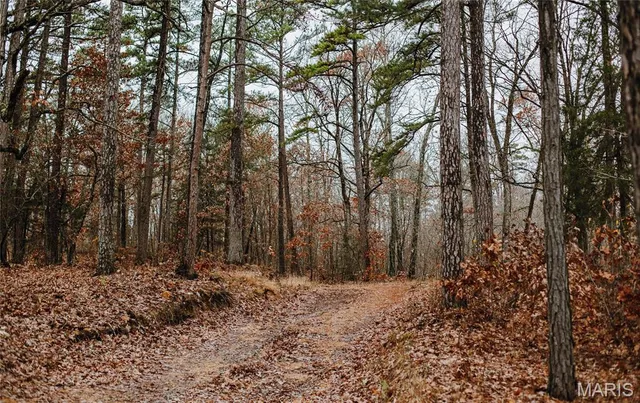 $995,000 | 1950 Lake Forest Drive, Park Hills, MO 63601