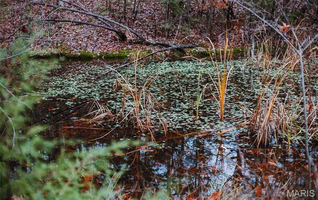 $995,000 | 1950 Lake Forest Drive, Park Hills, MO 63601