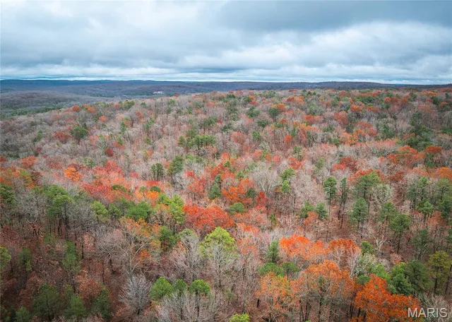 $995,000 | 1950 Lake Forest Drive, Park Hills, MO 63601