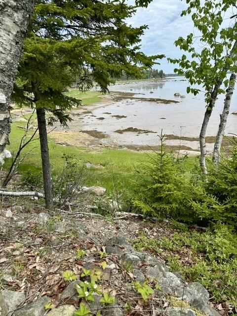 336 Rays Point Road Milbridge, ME 04658 - Photo 43 of 46
