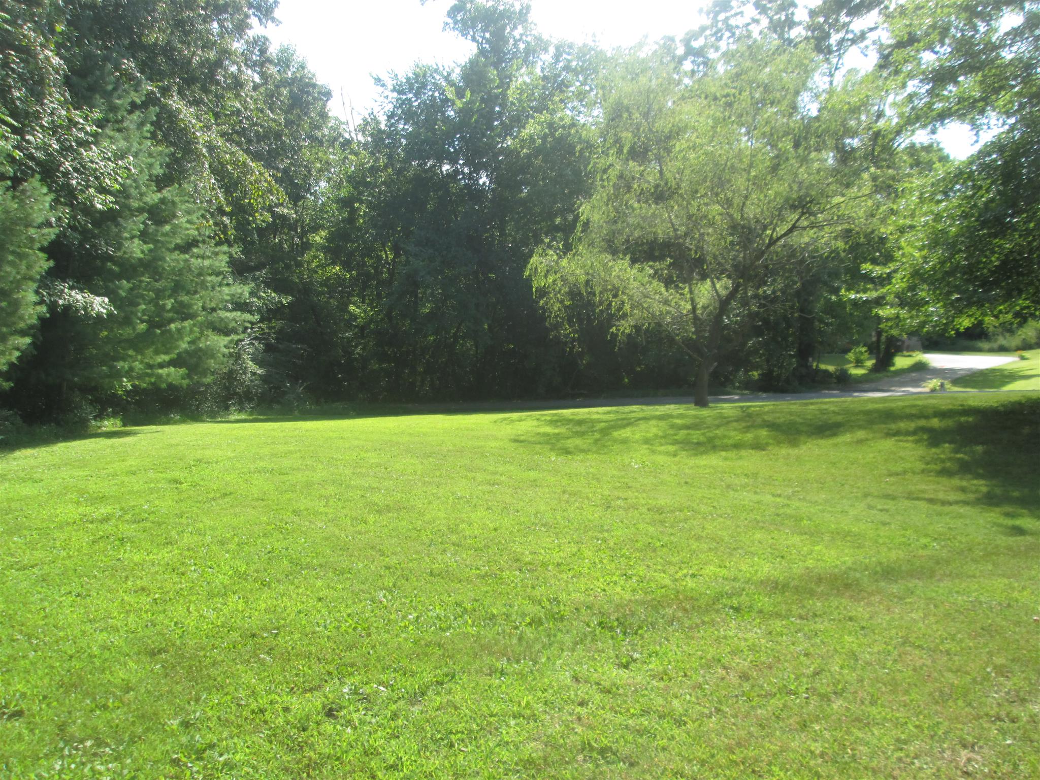 157 Welch Road Clarksville, TN 37043 - Photo 11 of 30 Gallery Image 11