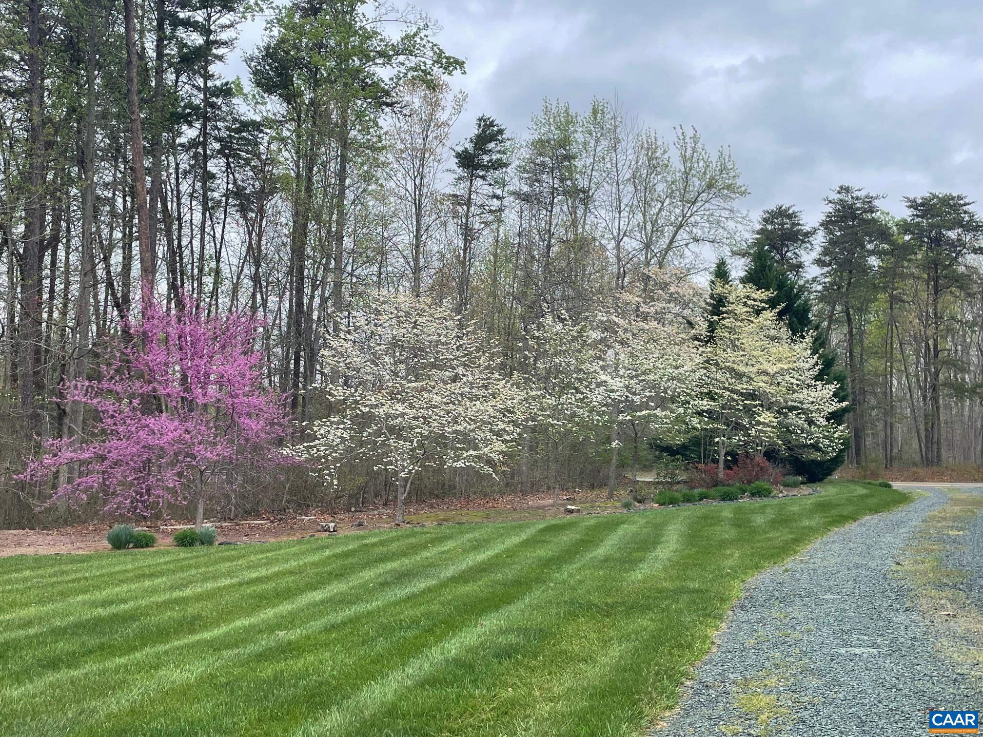 5589 3 Notch Road Louisa, VA 23093 - Photo 15 of 60