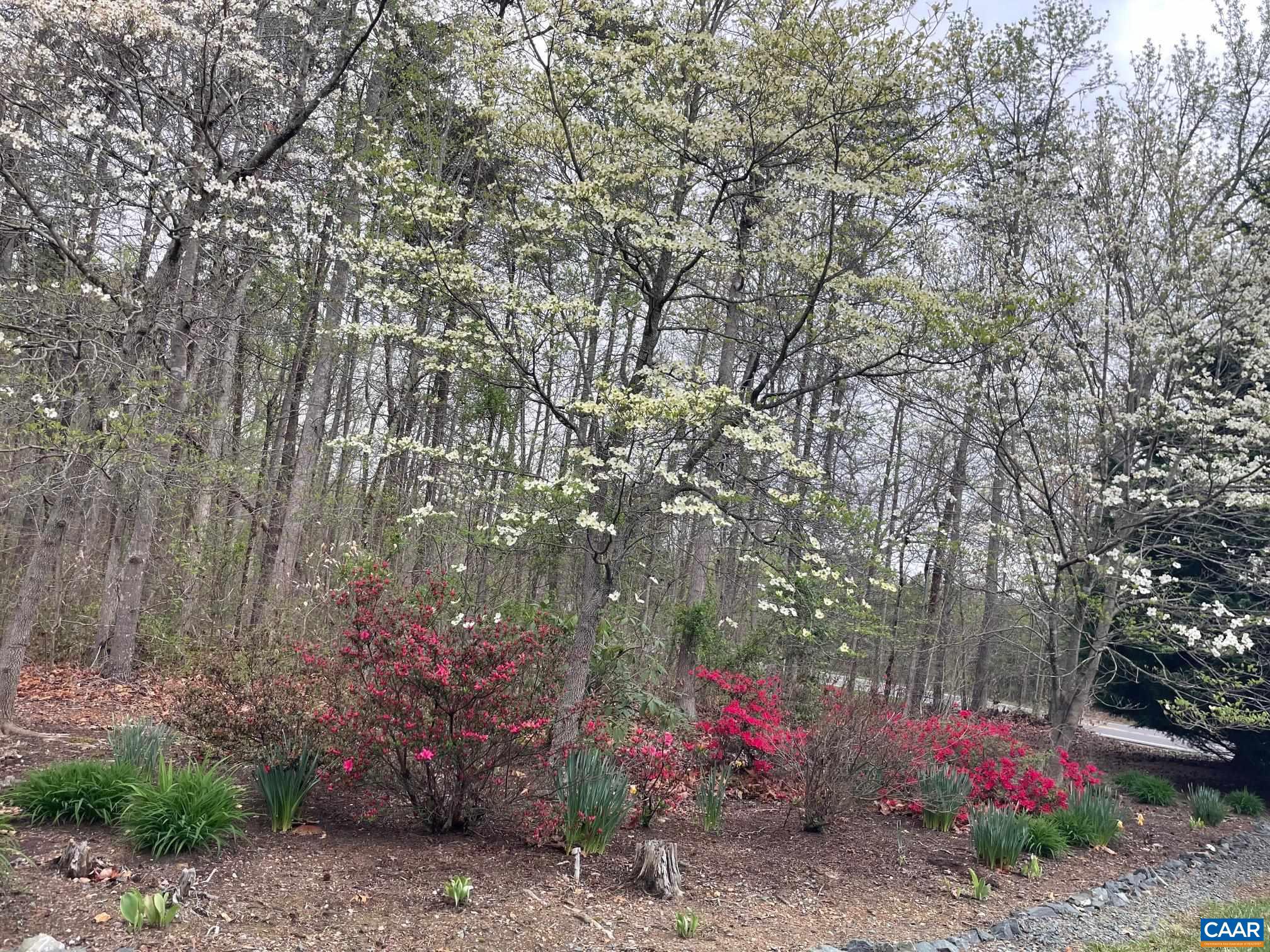 5589 3 Notch Road Louisa, VA 23093 - Photo 16 of 60