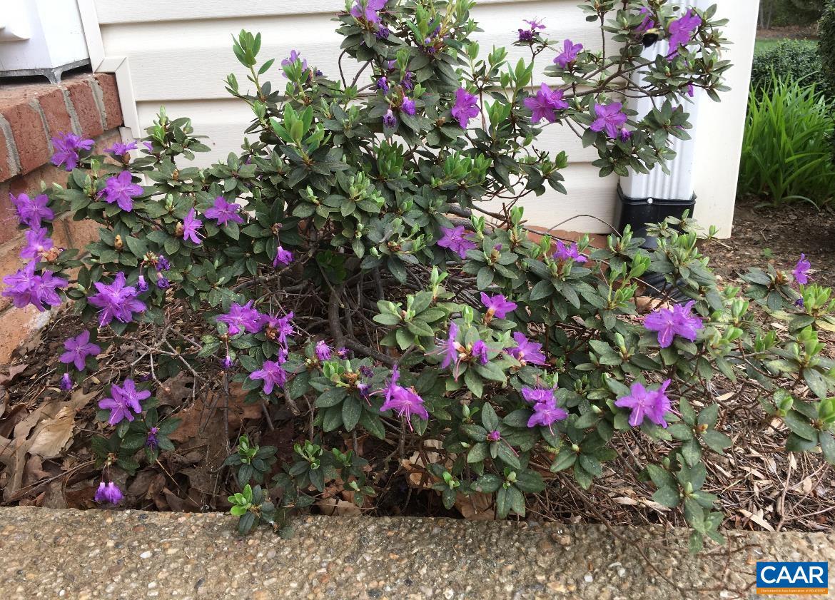 5589 3 Notch Road Louisa, VA 23093 - Photo 17 of 60