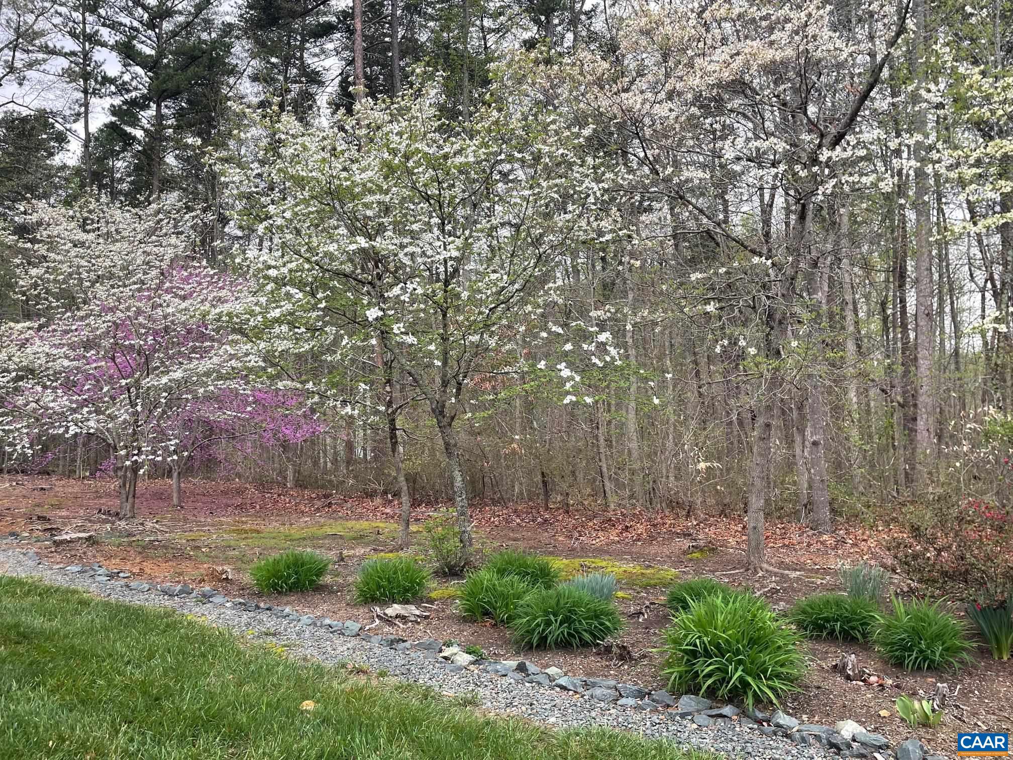 5589 3 Notch Road Louisa, VA 23093 - Photo 18 of 60