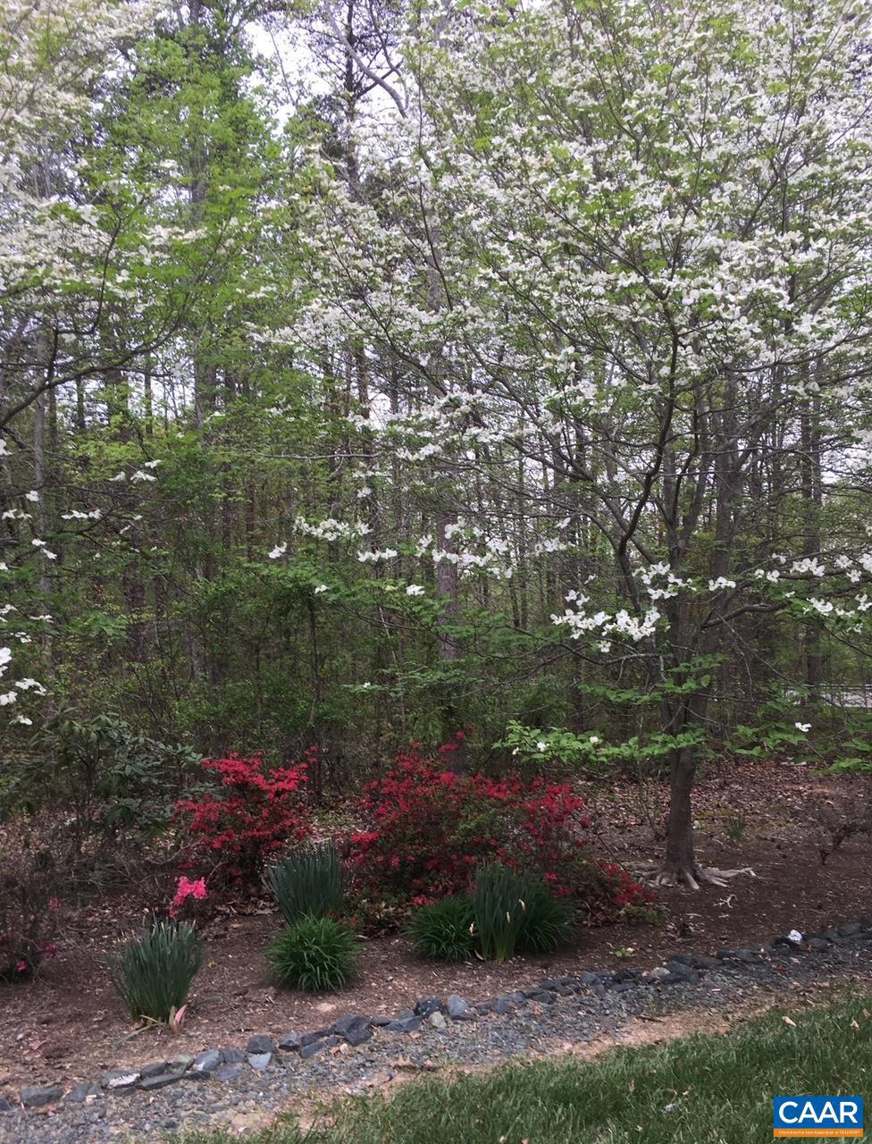 5589 3 Notch Road Louisa, VA 23093 - Photo 19 of 60