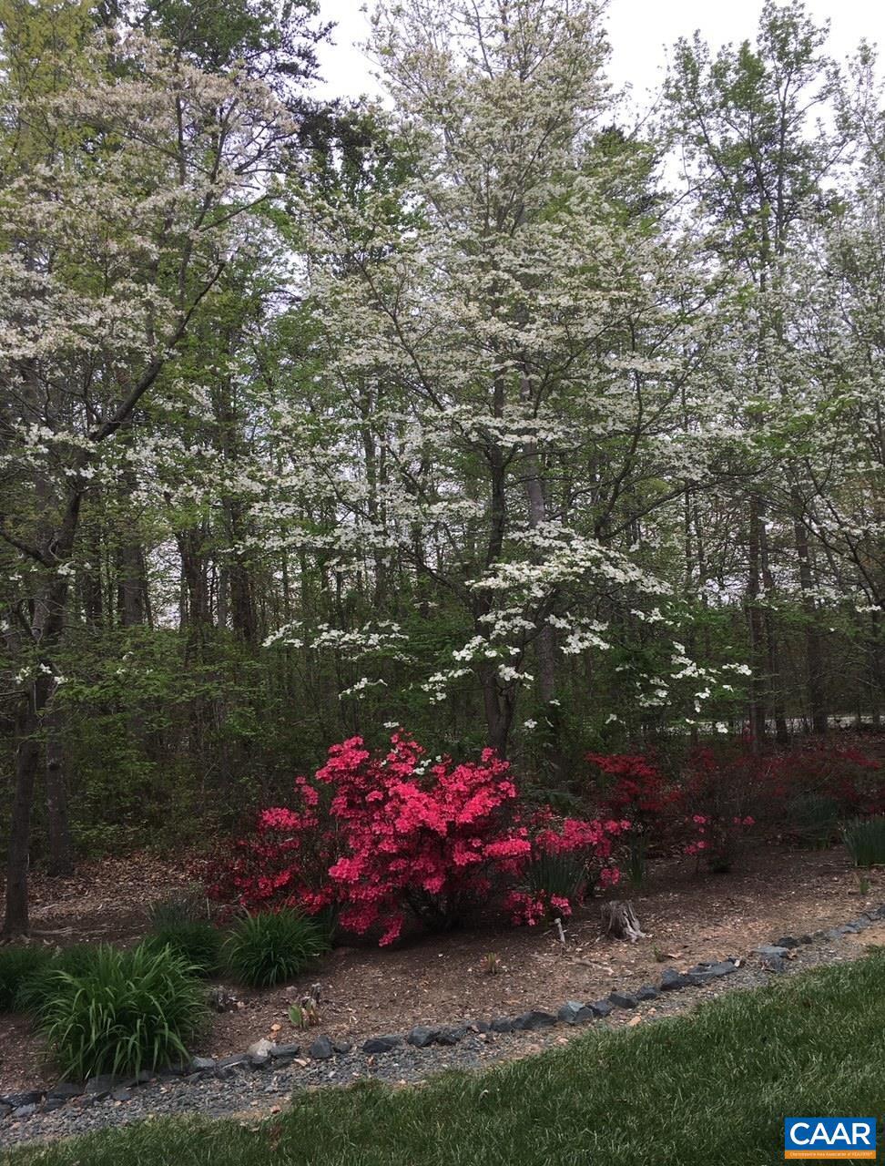 5589 3 Notch Road Louisa, VA 23093 - Photo 21 of 60