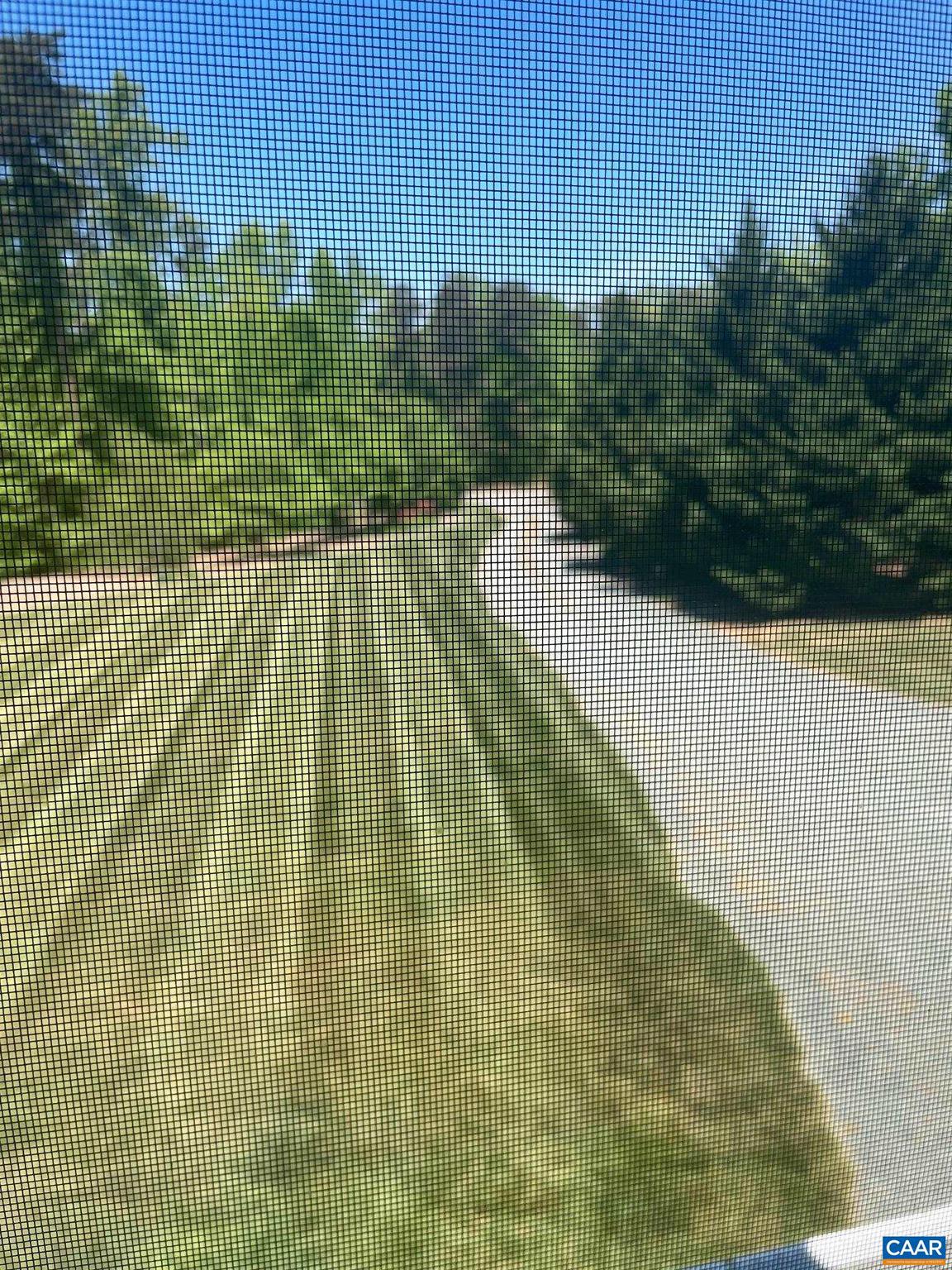 5589 3 Notch Road Louisa, VA 23093 - Photo 22 of 60