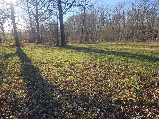 a view of a yard with trees