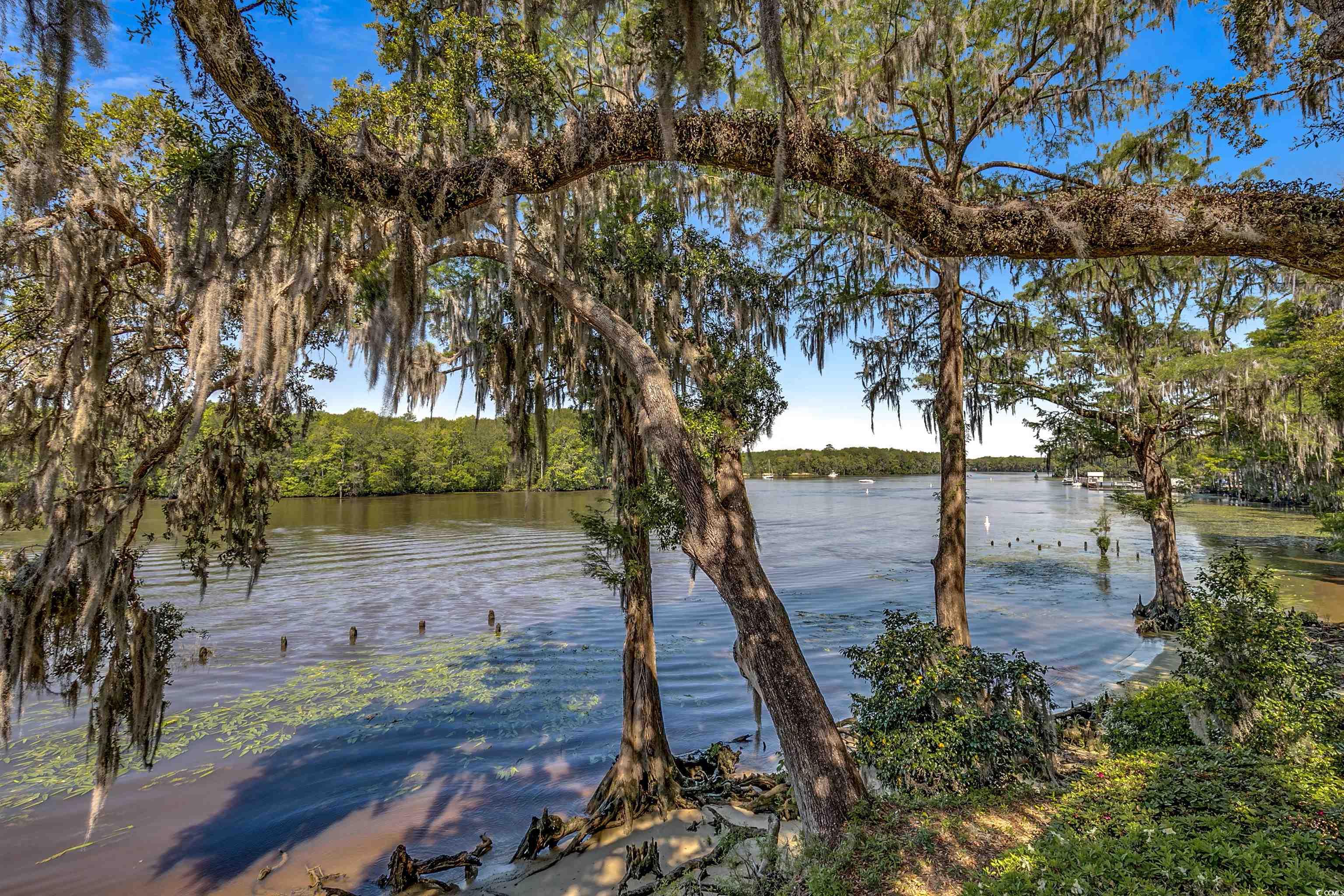 1824 Laurel Trail, Unit 1B Murrells Inlet, SC 29576 - Photo 28 of 39 Gallery Image 28