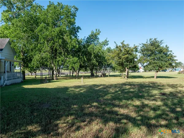 a view of yard with tree s