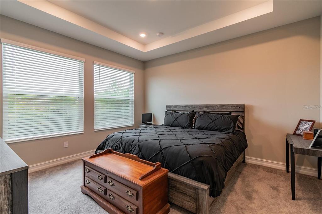 4738 Tramanto Lane Wesley Chapel, FL 33543 - Photo 24 of 45 a bedroom with a bed and a window