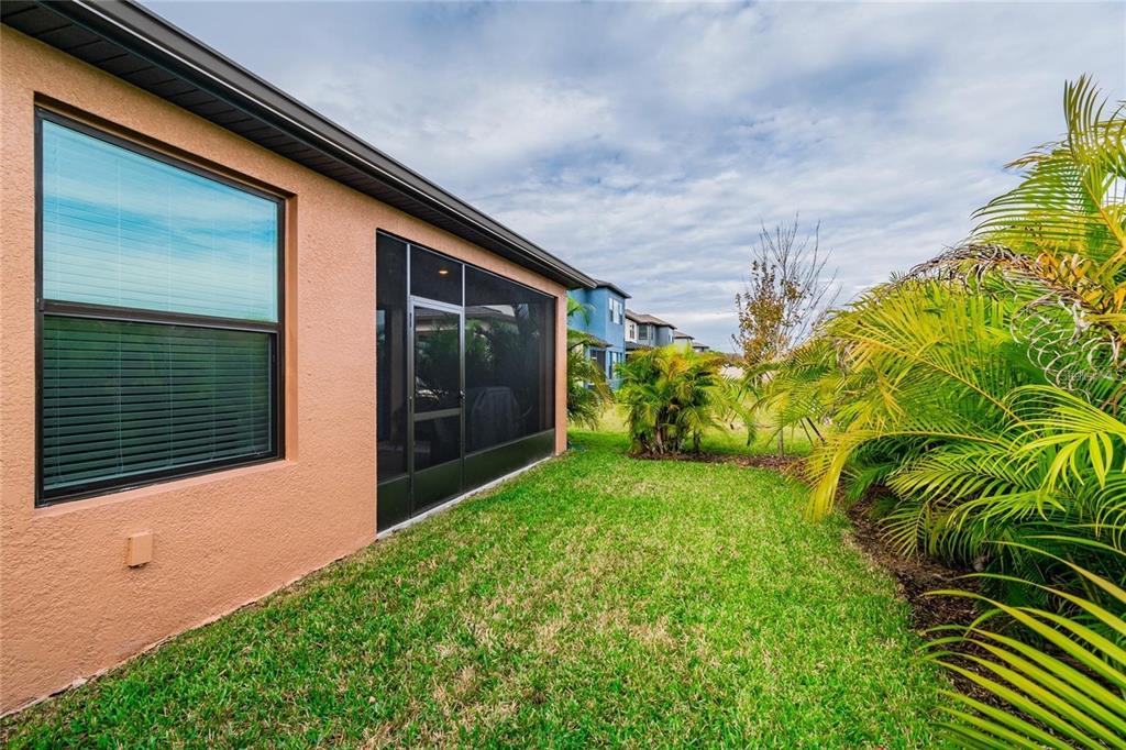 4738 Tramanto Lane Wesley Chapel, FL 33543 - Photo 41 of 45 a view of a backyard with plants