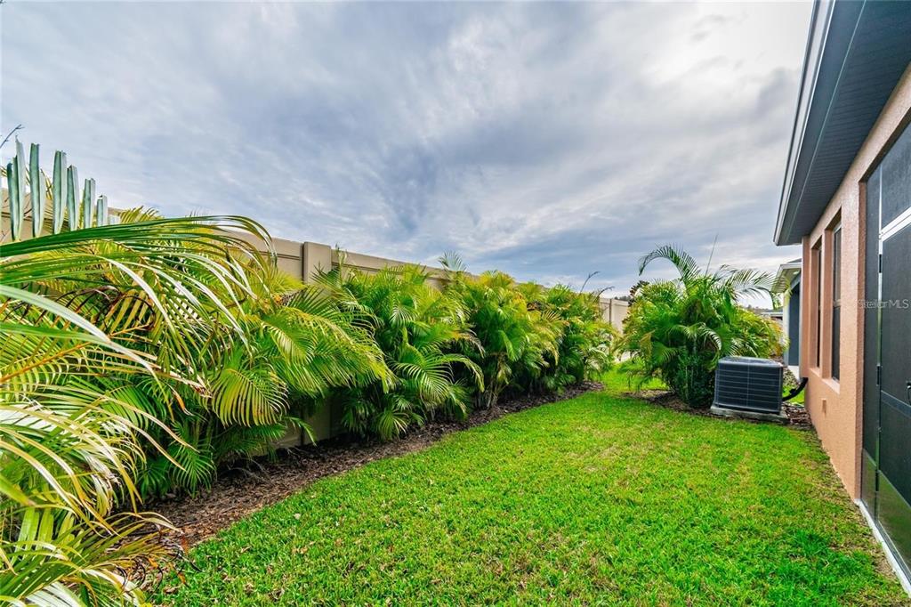 4738 Tramanto Lane Wesley Chapel, FL 33543 - Photo 43 of 45 a backyard of a house with lots of green space and plants