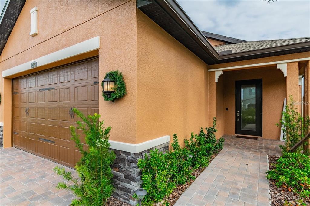 4738 Tramanto Lane Wesley Chapel, FL 33543 - Photo 7 of 45 a potted plant in front of a door