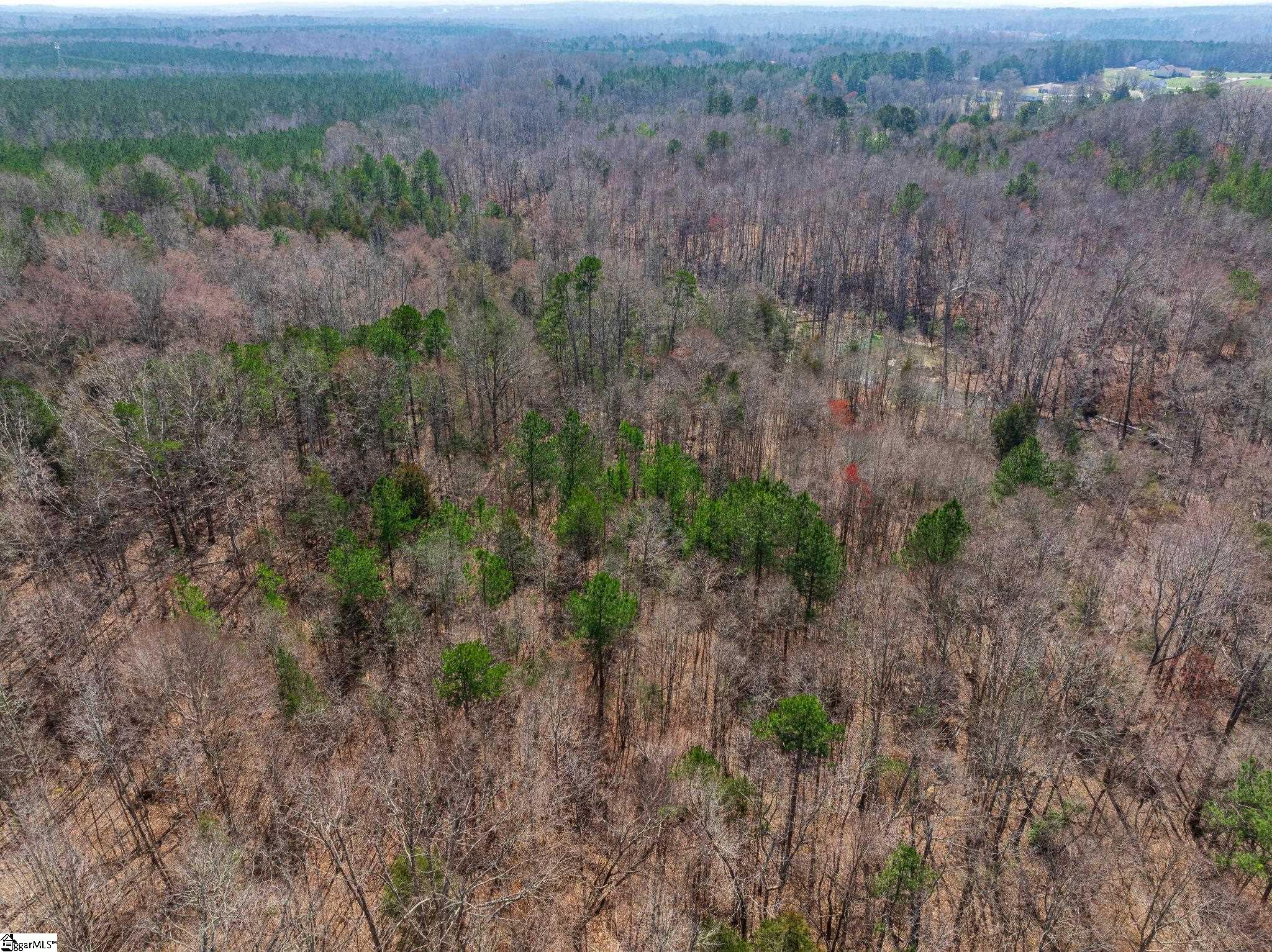 0 Cross Anchor Road Woodruff, SC 29388 - Photo 14 of 27